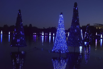 Christmas decorated fir trees in Orlando