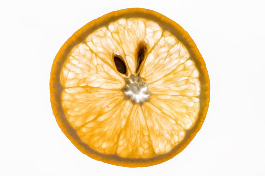 Rodela de Laranja