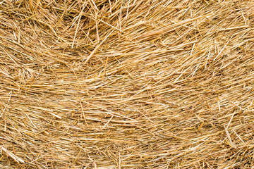 Hay bales texture background. Straw rolls