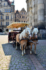 Fototapeta na wymiar A horsecar in Dresden, Germany
