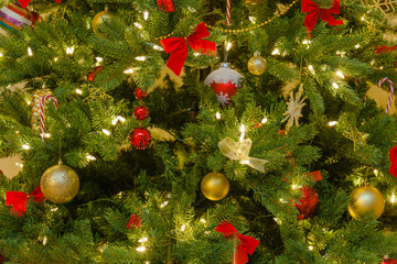 Classic Christmas decorations in red and golden yellow on pine tree in evening light. Close up