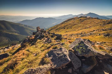 Fototapeten Felsen auf der Wiese unterhalb des Hügels im Nationalpark Niedere Tatra, Slowakei im Sommer. © kaycco