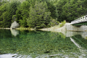 The trout lake