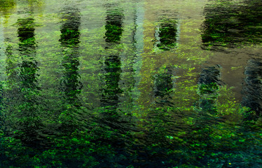 Building reflected in clear cold river with green aquatic plants