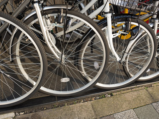Obraz premium 並んだ自転車 