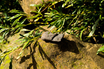 rocks at the river
