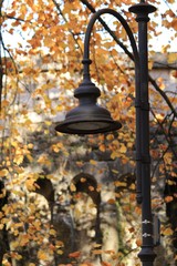 Lamppost in the park