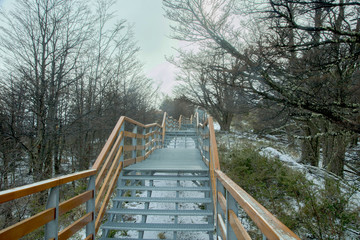 PERITO MORENO GLACIER, PATAGONIA ARGENTINA