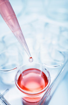 A precision micropipette is used to transfer a small amount of red solution to a multi-well plate