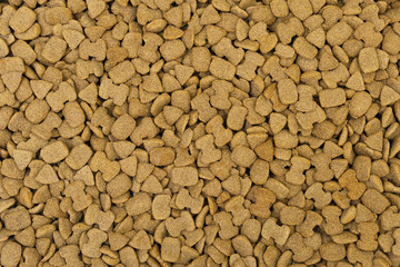 Dried pet food texture background