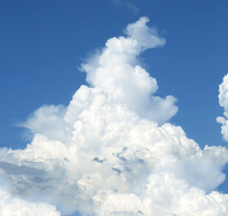 Obraz premium blue sky