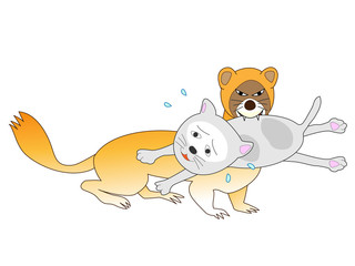 猫を食べるイタチ