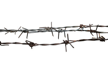 Barbed Wire on a white background