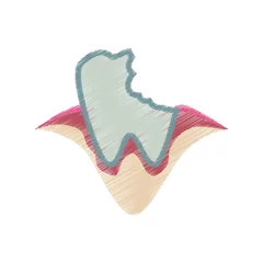 Gordijnen dental healthcare drawing icon vector illustration design © djvstock