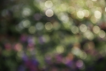 Abstract blur city park bokeh background, abstract colorful background