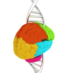 Brain and dna. 3d illustration