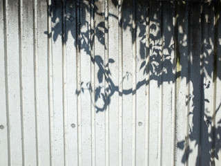 Tree's shadow on a wall.