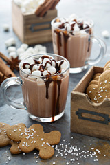 Hot cocoa with marshmallows and cookies