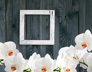 White orchid and photo frame on background of shabby wooden plan