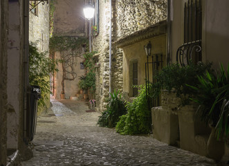 Naklejka na ściany i meble Narrow street in old town in France at night