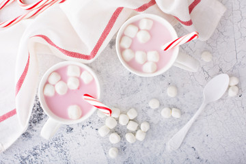 Obraz na płótnie Canvas Peppermint hot chocolate with candy canes