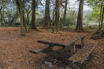 Lac de Sainte Hélène - Savoie.