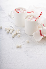 Peppermint hot chocolate with candy canes