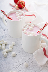 Peppermint hot chocolate with candy canes