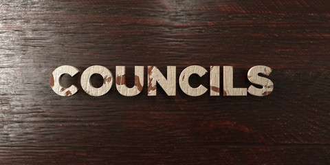 Councils - grungy wooden headline on Maple  - 3D rendered royalty free stock image. This image can be used for an online website banner ad or a print postcard.