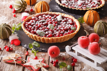 Christmas cranberry cake with icing sugar and festive decoration close-up on the table. horizontal