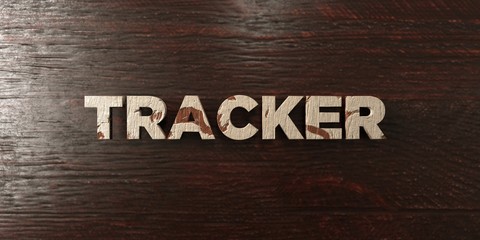 Fototapeta premium Tracker - grungy wooden headline on Maple - 3D rendered royalty free stock image. This image can be used for an online website banner ad or a print postcard.