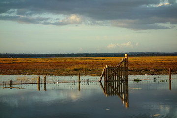 gate