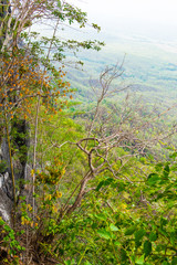 Trees, cave and Pan city at Lampang province