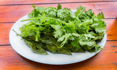 Fresh green coriander on a wooden table.