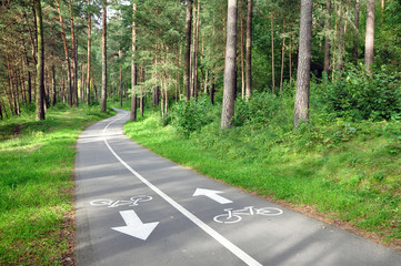 Fototapeta premium Two-way asphalt bike path in the summer pine forest in perspective.