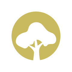 tree plant hand drawing isolated icon vector illustration design