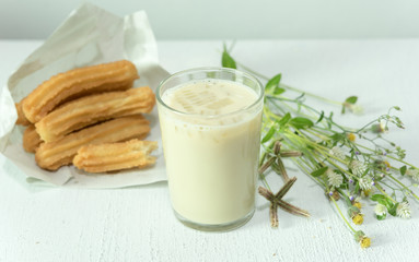 Soybean milk with fried bread stick