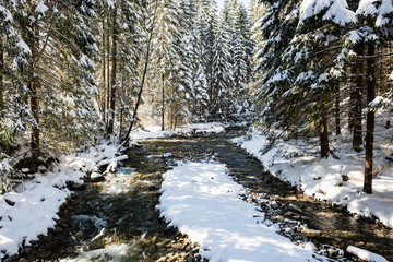 mountain river in winter