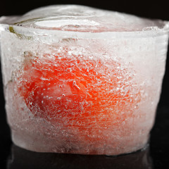 Tomato in ice