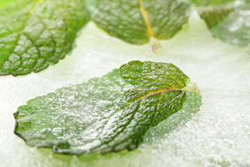 Frozen mint leaf