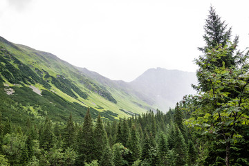 Fototapeta premium foggy mountain lake in summer