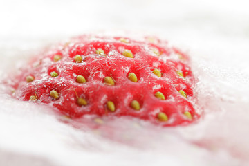 Strawberry partially frosen in ice