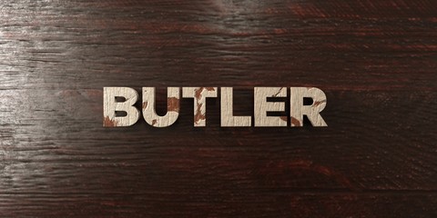 Butler - grungy wooden headline on Maple  - 3D rendered royalty free stock image. This image can be used for an online website banner ad or a print postcard.