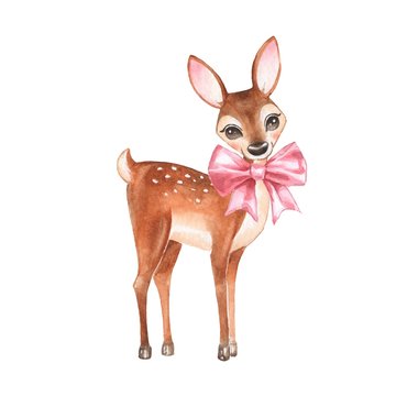 Baby Deer. Hand drawn cute fawn with a bow. Cartoon illustration, isolated on white. Watercolor painting 