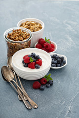Healthy Greek yogurt bowl with berry