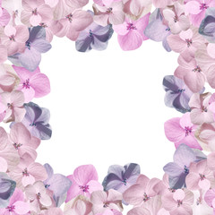 Beautiful floral background with pink hydrangeas 