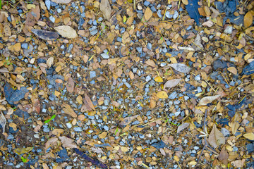 soil background or texture. soil with small rocks and dry leaf.