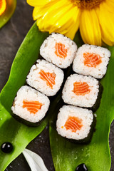 Salmon Sushi Roll