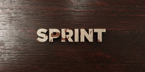 Sprint - grungy wooden headline on Maple  - 3D rendered royalty free stock image. This image can be used for an online website banner ad or a print postcard.