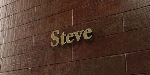 Steve - Bronze plaque mounted on maple wood wall  - 3D rendered royalty free stock picture. This image can be used for an online website banner ad or a print postcard.